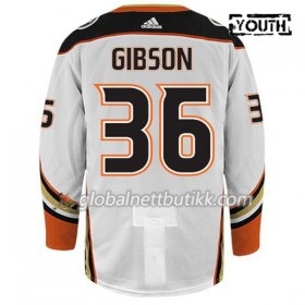 Anaheim Ducks Hockeydrakt JOHN GIBSON 36 Hvit Adidas Authentic - Barn